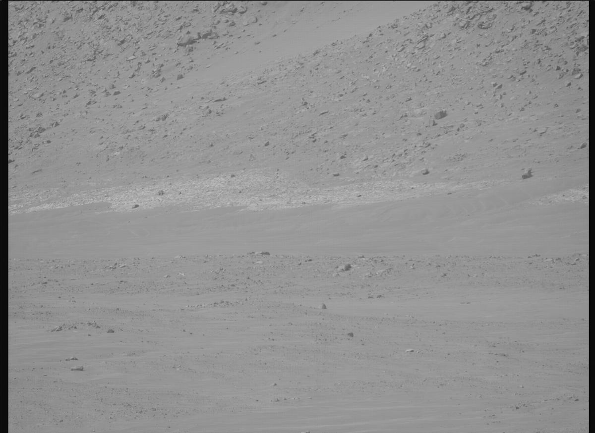 This image was taken by MCZ_RIGHT onboard NASA's Mars rover Perseverance on Sol 1137