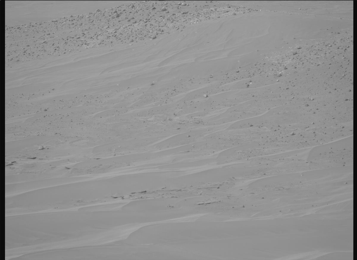 This image was taken by MCZ_RIGHT onboard NASA's Mars rover Perseverance on Sol 1137