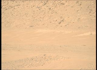 View image taken on Mars, Mars Perseverance Sol 1137: Right Mastcam-Z Camera