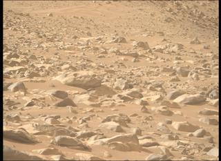 View image taken on Mars, Mars Perseverance Sol 1137: Right Mastcam-Z Camera