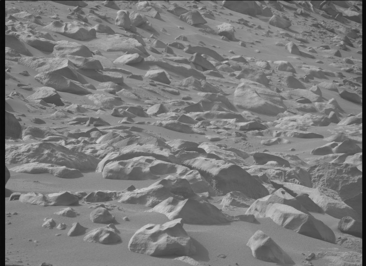 This image was taken by MCZ_RIGHT onboard NASA's Mars rover Perseverance on Sol 1137