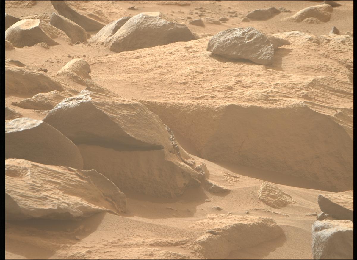 This image was taken by MCZ_RIGHT onboard NASA's Mars rover Perseverance on Sol 1137