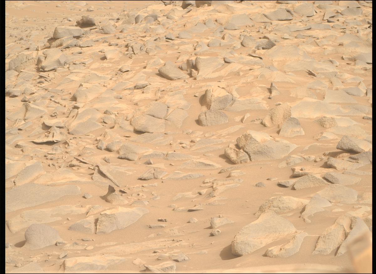 This image was taken by MCZ_RIGHT onboard NASA's Mars rover Perseverance on Sol 1137