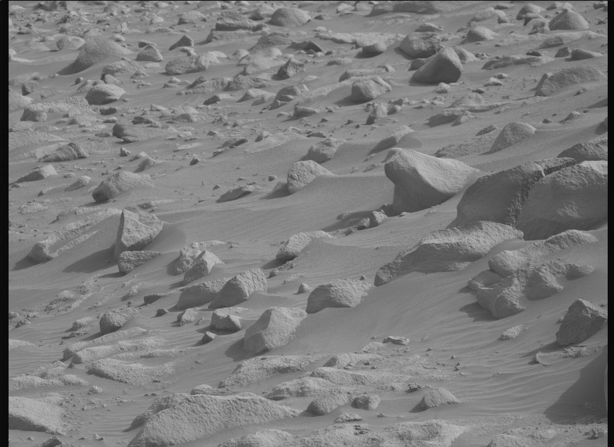This image was taken by MCZ_RIGHT onboard NASA's Mars rover Perseverance on Sol 1137