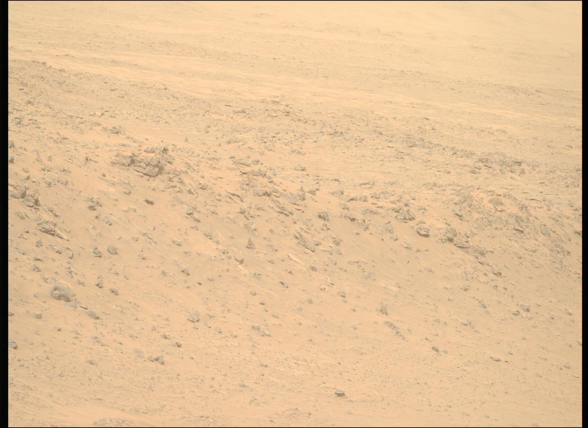 This image was taken by MCZ_RIGHT onboard NASA's Mars rover Perseverance on Sol 1138