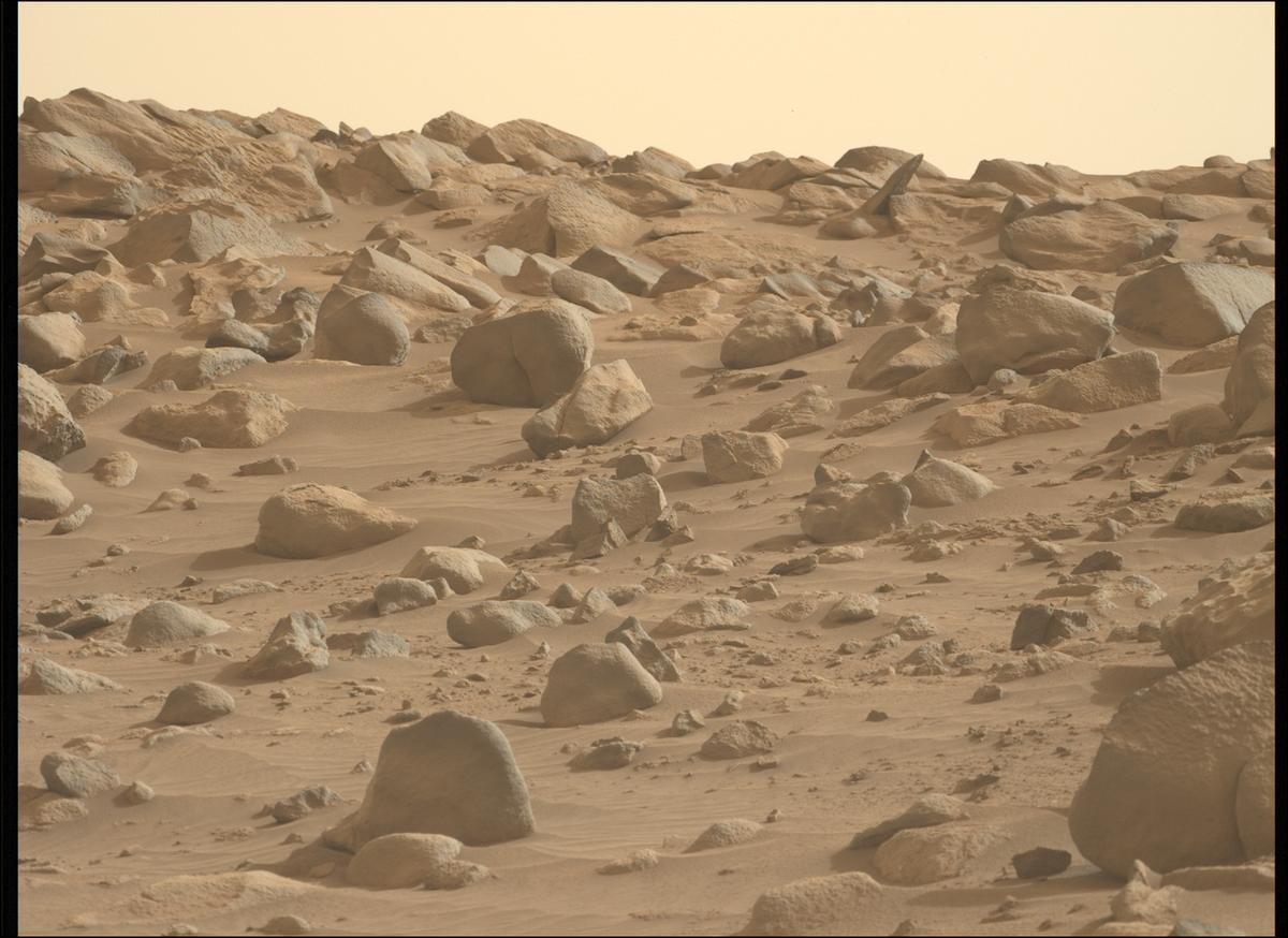 This image was taken by MCZ_LEFT onboard NASA's Mars rover Perseverance on Sol 1139