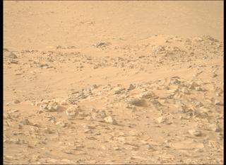 View image taken on Mars, Mars Perseverance Sol 1141: Left Mastcam-Z Camera