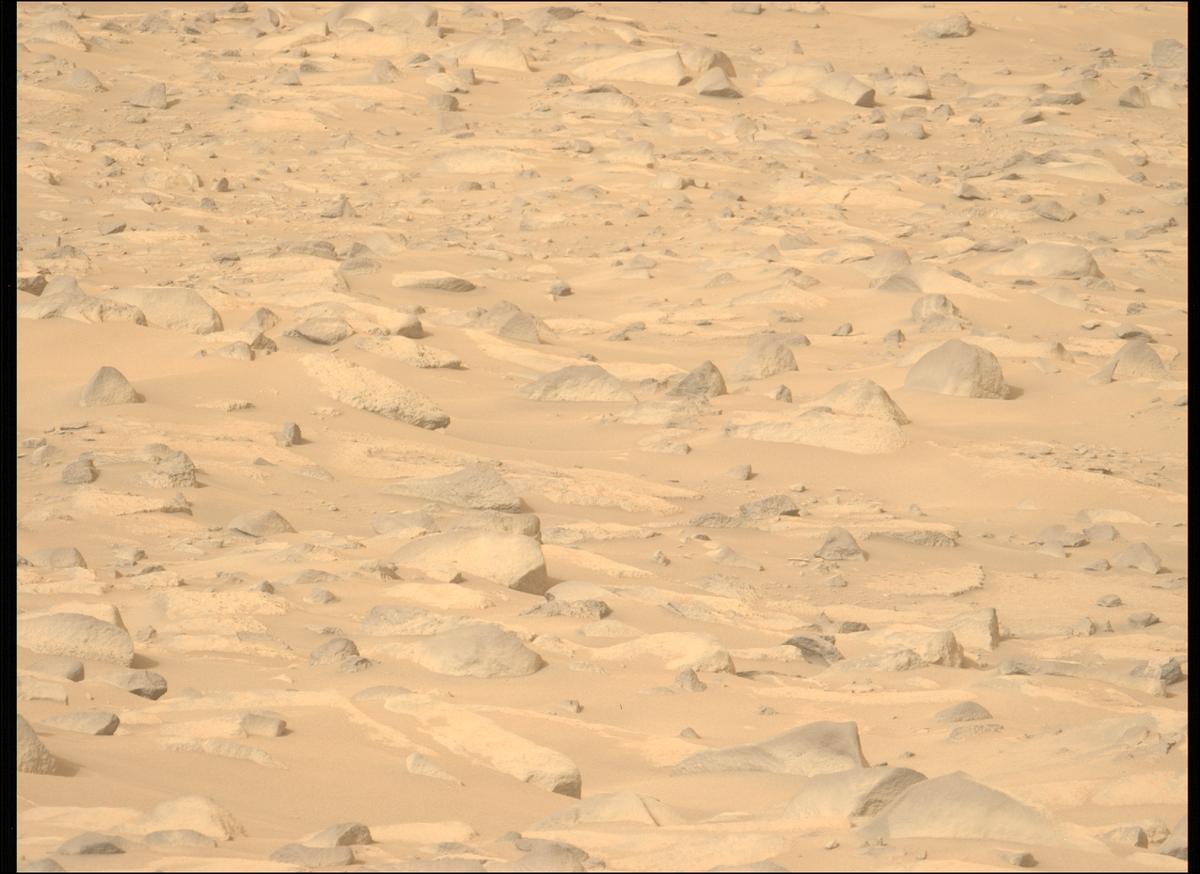 This image was taken by MCZ_LEFT onboard NASA's Mars rover Perseverance on Sol 1141