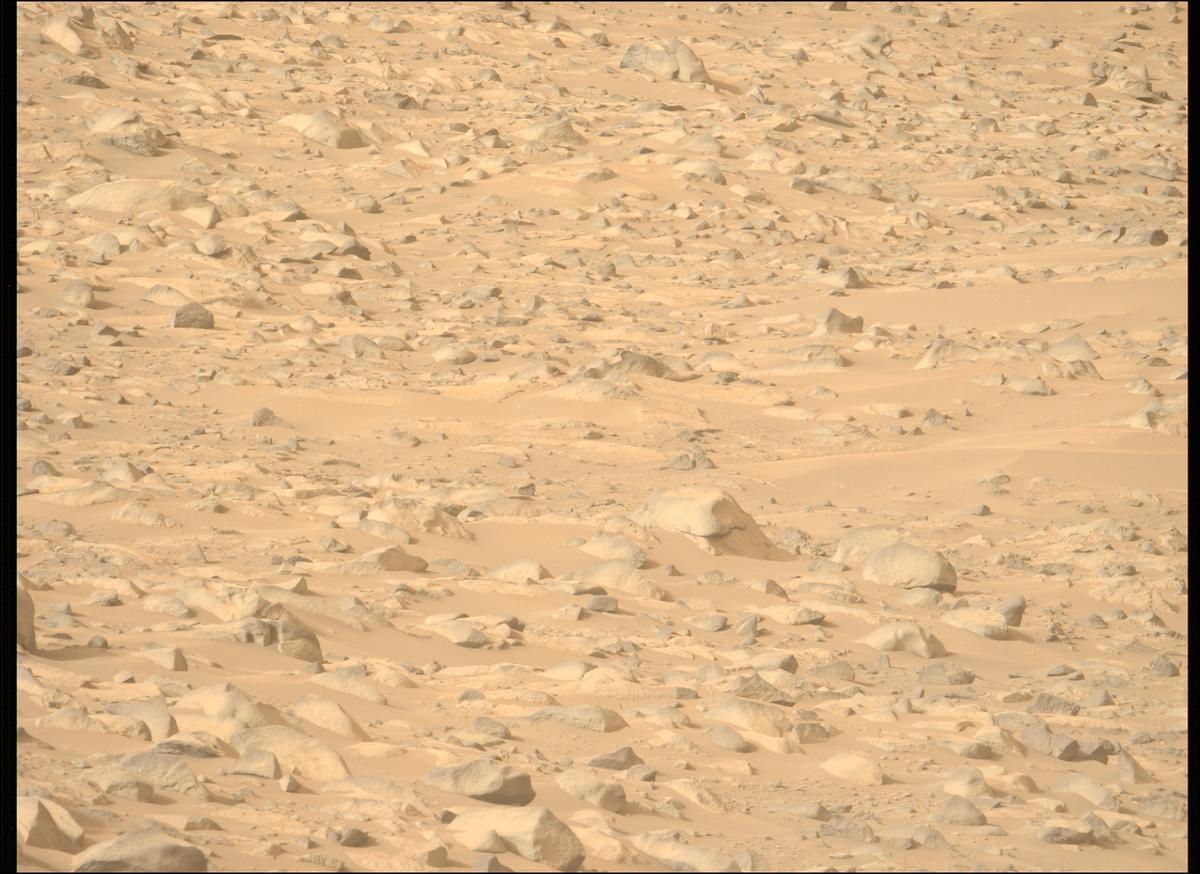 This image was taken by MCZ_LEFT onboard NASA's Mars rover Perseverance on Sol 1141
