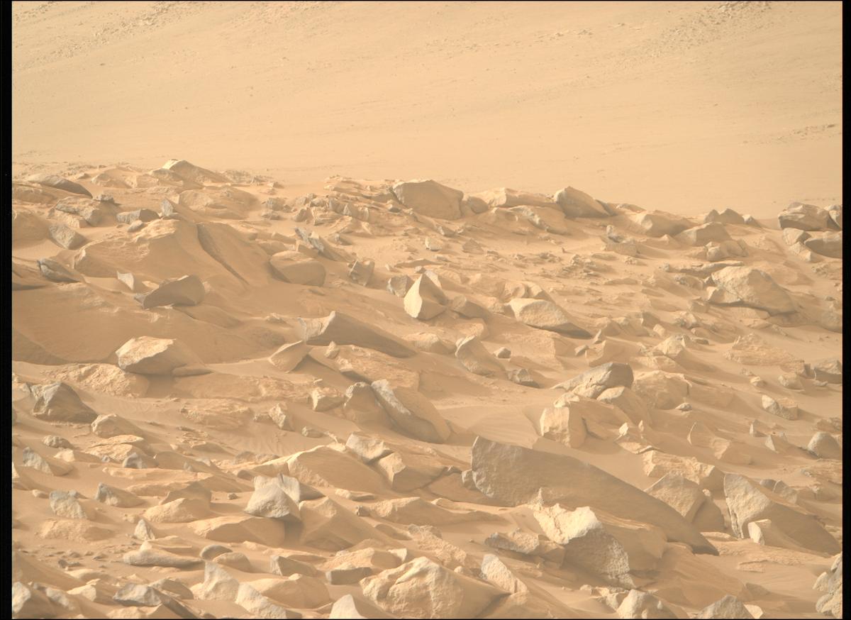 This image was taken by MCZ_RIGHT onboard NASA's Mars rover Perseverance on Sol 1141