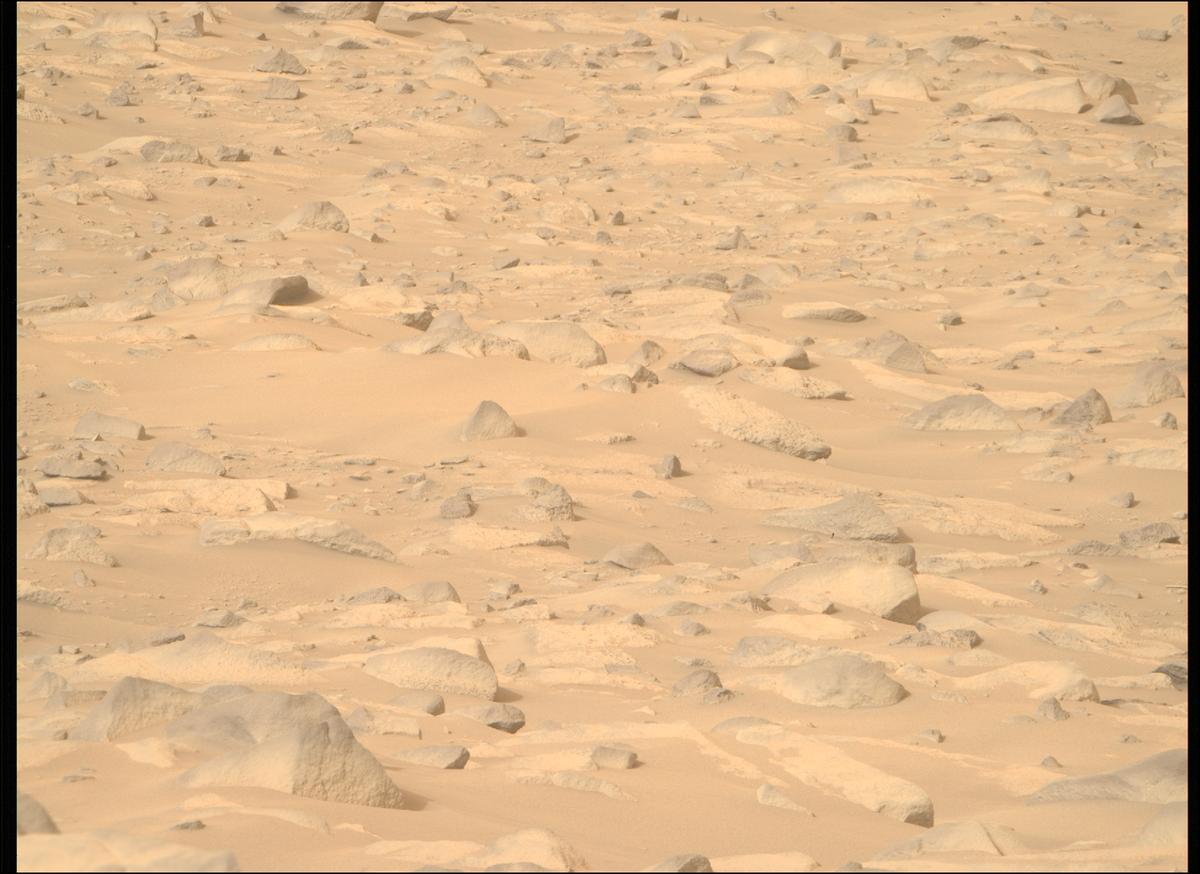 This image was taken by MCZ_RIGHT onboard NASA's Mars rover Perseverance on Sol 1141