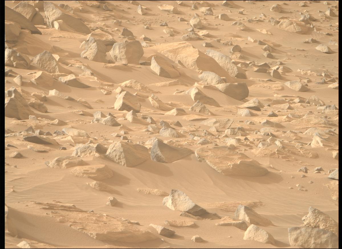 This image was taken by MCZ_RIGHT onboard NASA's Mars rover Perseverance on Sol 1141