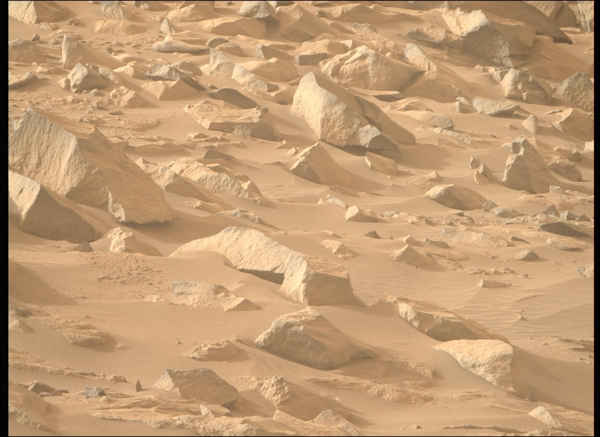 This image was taken by MCZ_RIGHT onboard NASA's Mars rover Perseverance on Sol 1141