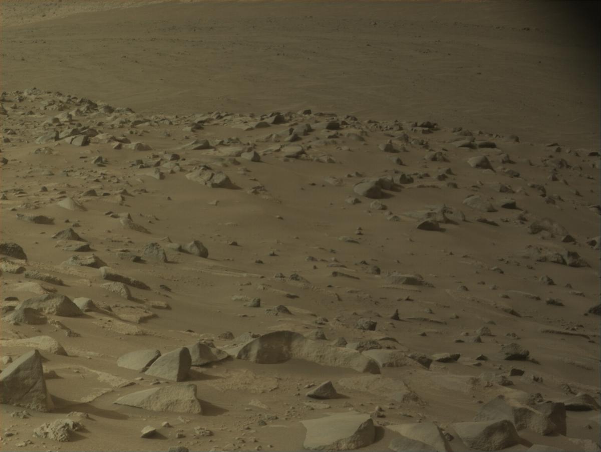 This image was taken by NAVCAM_LEFT onboard NASA's Mars rover Perseverance on Sol 1142