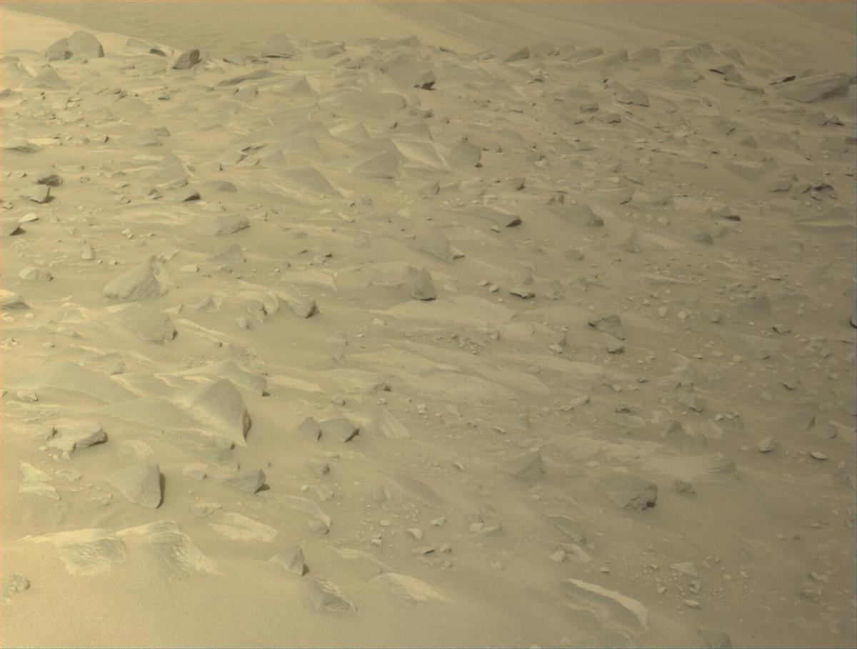 This image was taken by NAVCAM_LEFT onboard NASA's Mars rover Perseverance on Sol 1142
