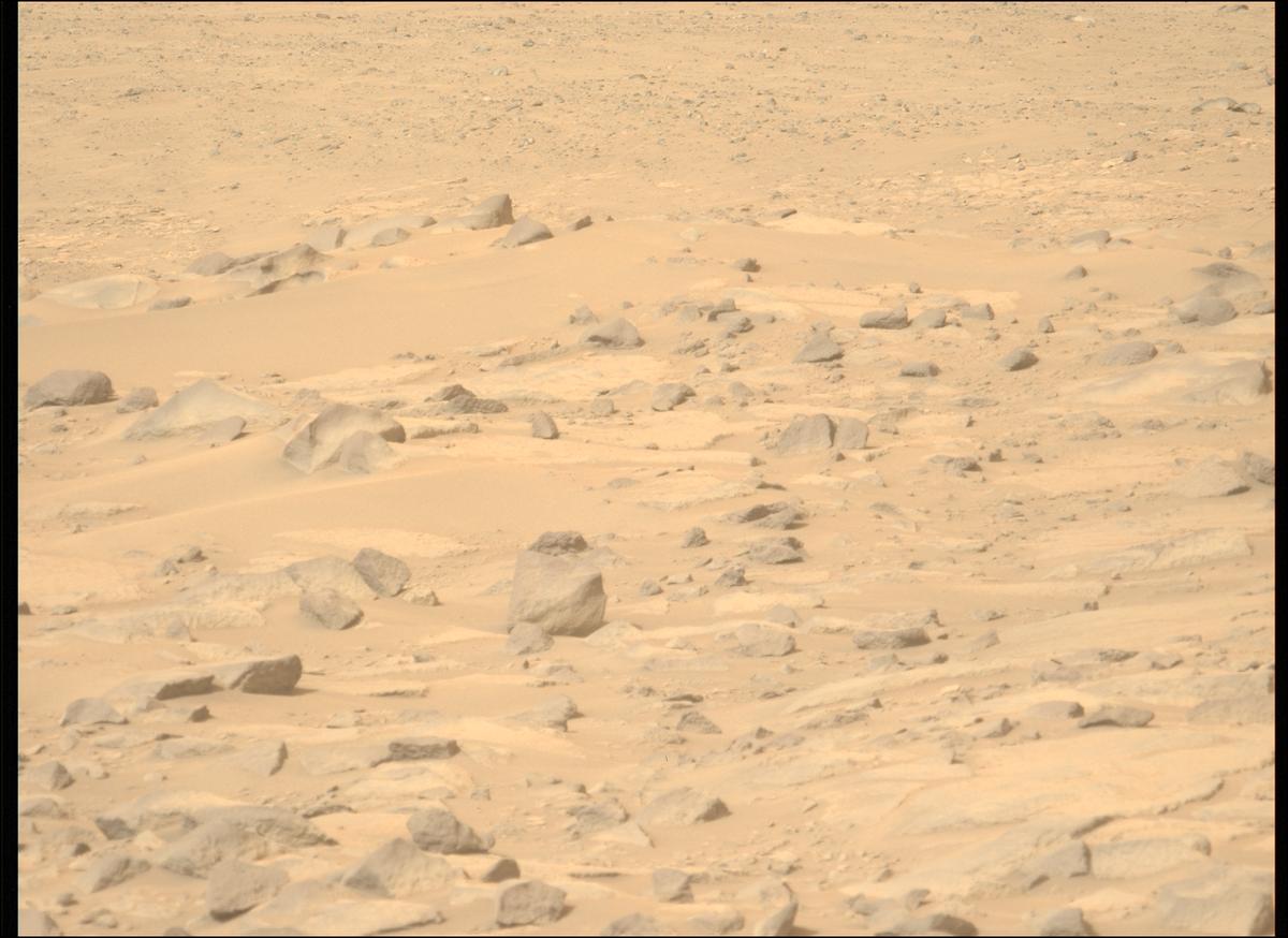 This image was taken by MCZ_LEFT onboard NASA's Mars rover Perseverance on Sol 1144