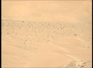 View image taken on Mars, Mars Perseverance Sol 1144: Left Mastcam-Z Camera