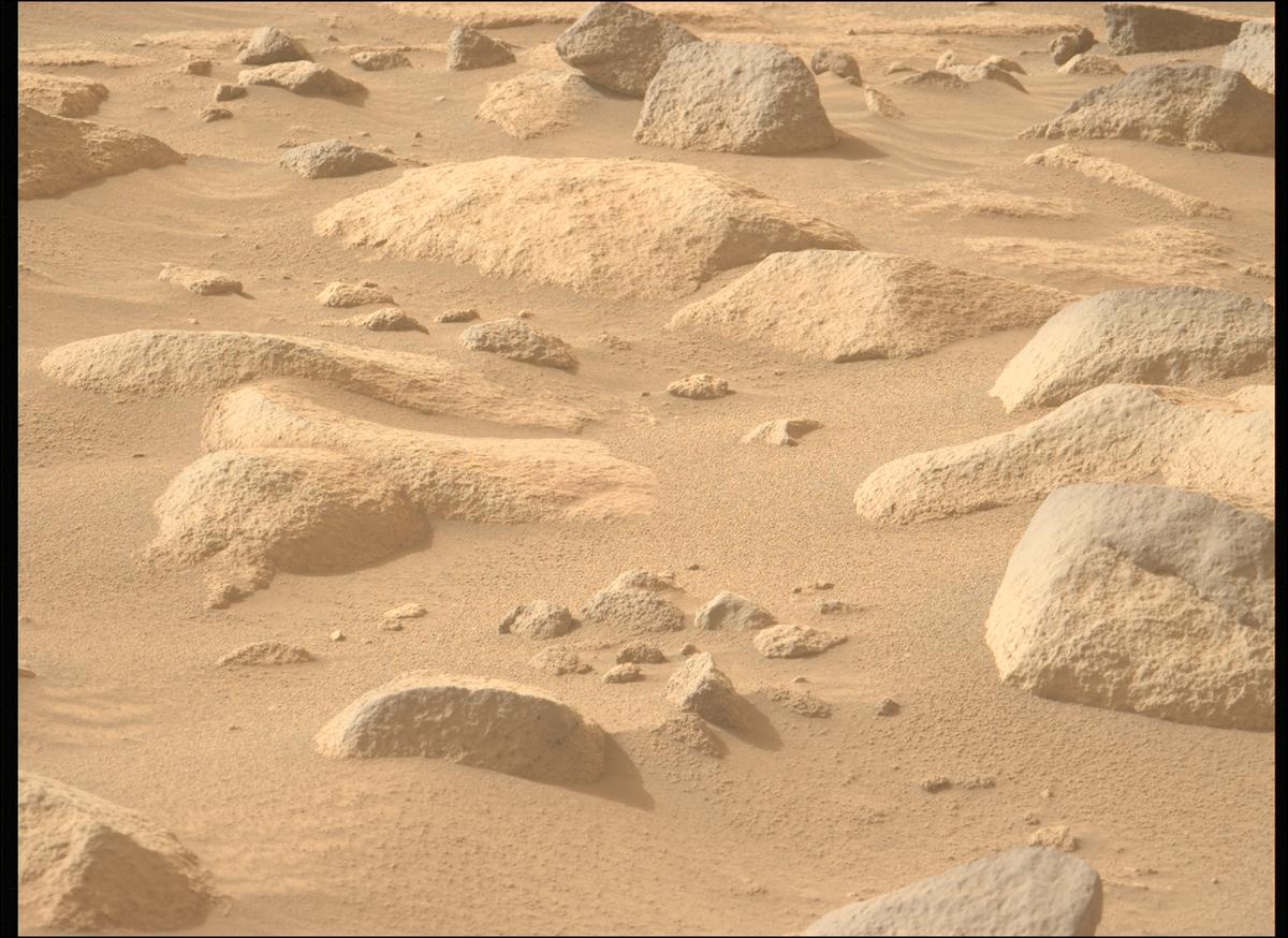 This image was taken by MCZ_LEFT onboard NASA's Mars rover Perseverance on Sol 1144