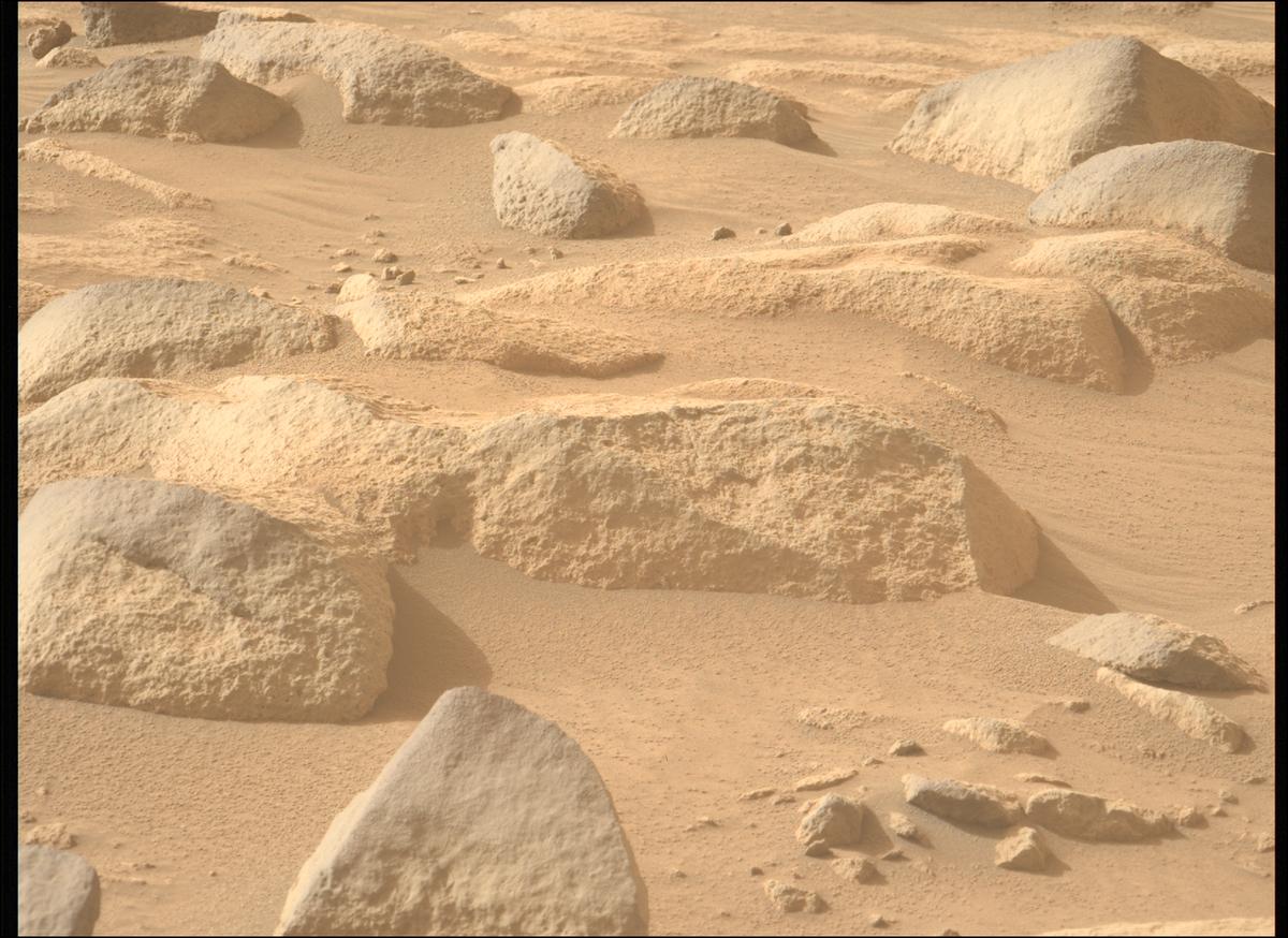 This image was taken by MCZ_LEFT onboard NASA's Mars rover Perseverance on Sol 1144