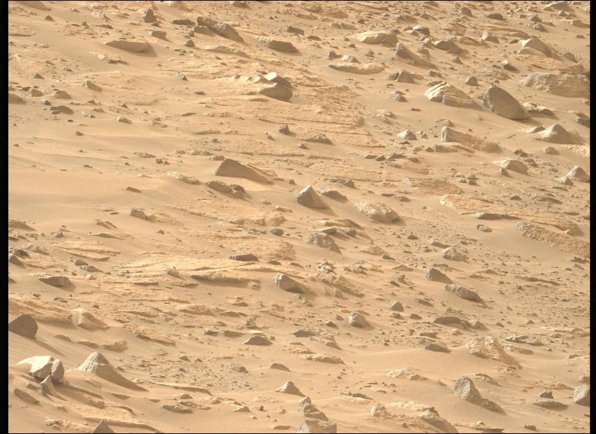 This image was taken by MCZ_LEFT onboard NASA's Mars rover Perseverance on Sol 1144