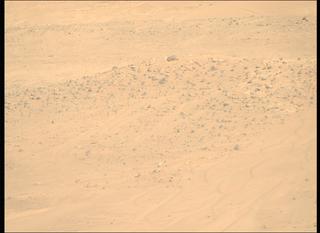 View image taken on Mars, Mars Perseverance Sol 1144: Right Mastcam-Z Camera