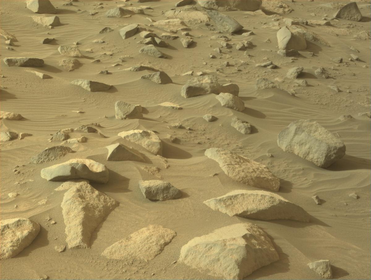 This image was taken by NAVCAM_LEFT onboard NASA's Mars rover Perseverance on Sol 1145