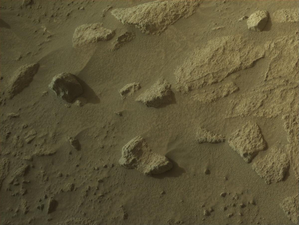 This image was taken by NAVCAM_LEFT onboard NASA's Mars rover Perseverance on Sol 1145