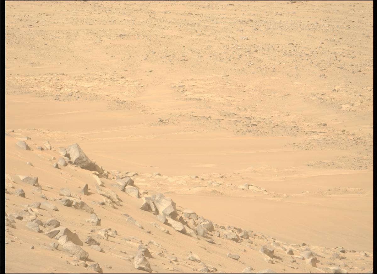 This image was taken by MCZ_LEFT onboard NASA's Mars rover Perseverance on Sol 1145