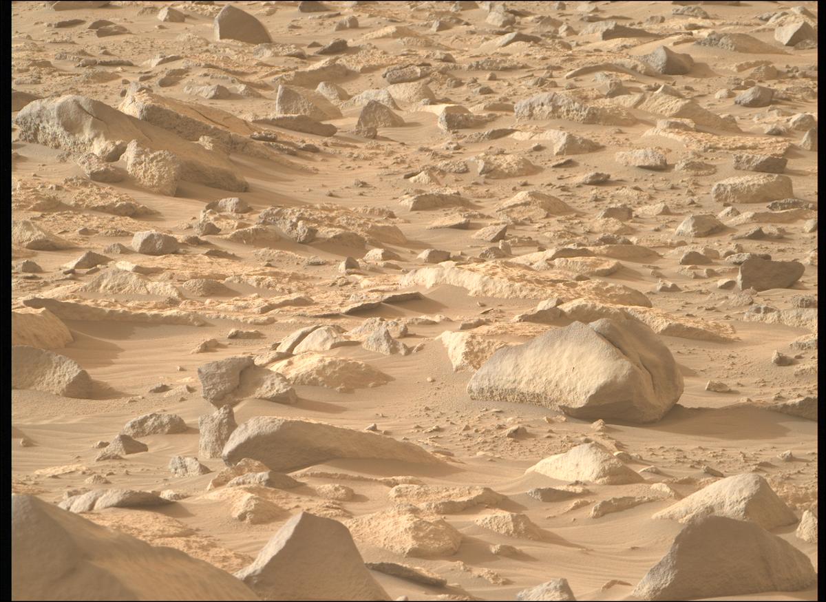 This image was taken by MCZ_RIGHT onboard NASA's Mars rover Perseverance on Sol 1145