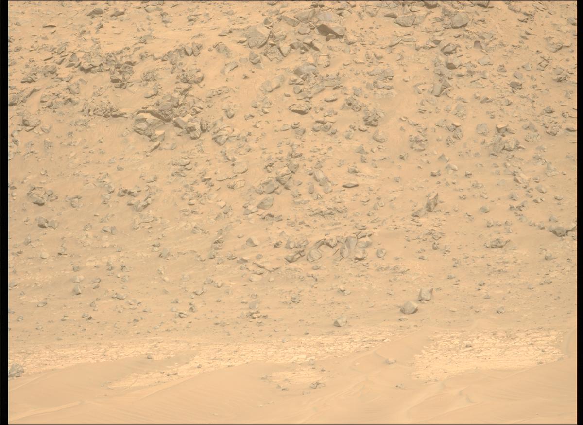 This image was taken by MCZ_LEFT onboard NASA's Mars rover Perseverance on Sol 1146