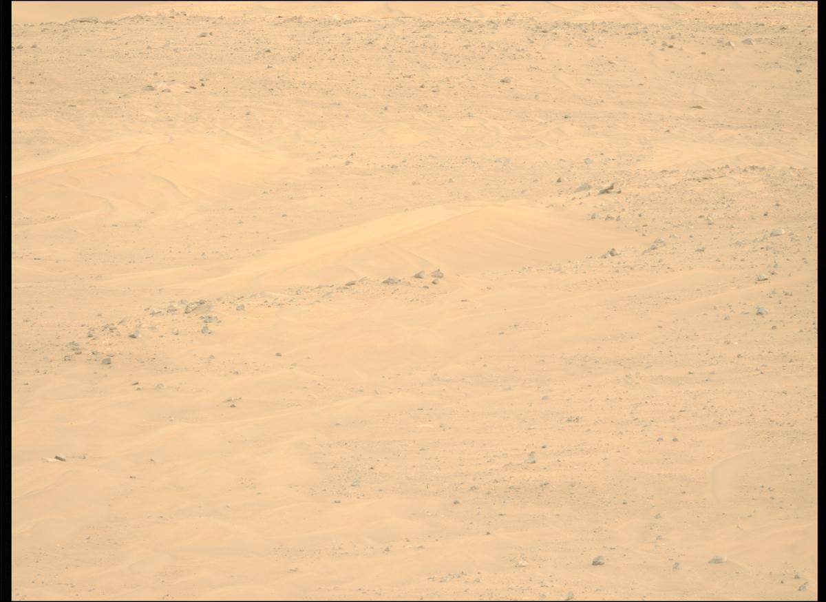 This image was taken by MCZ_LEFT onboard NASA's Mars rover Perseverance on Sol 1146