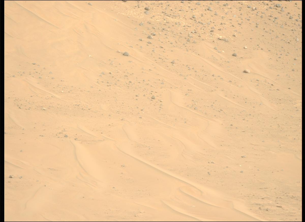 This image was taken by MCZ_LEFT onboard NASA's Mars rover Perseverance on Sol 1146