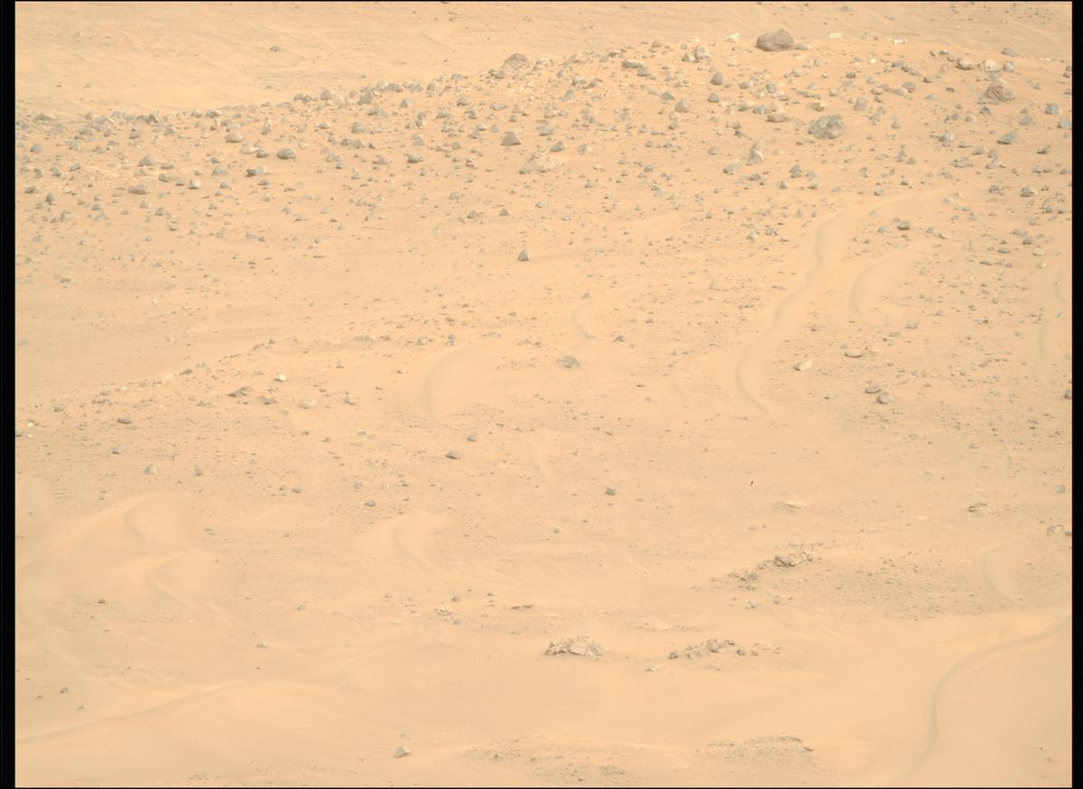 This image was taken by MCZ_RIGHT onboard NASA's Mars rover Perseverance on Sol 1146