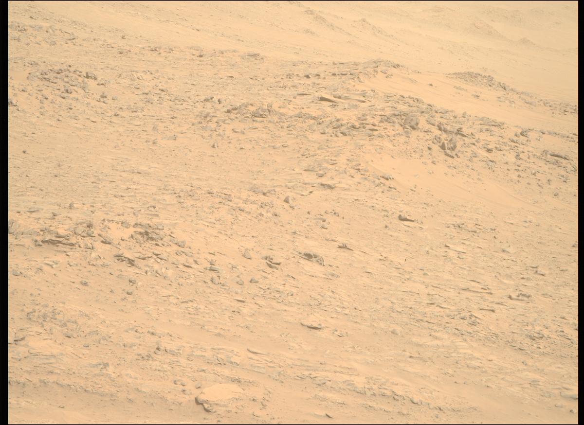 This image was taken by MCZ_RIGHT onboard NASA's Mars rover Perseverance on Sol 1146