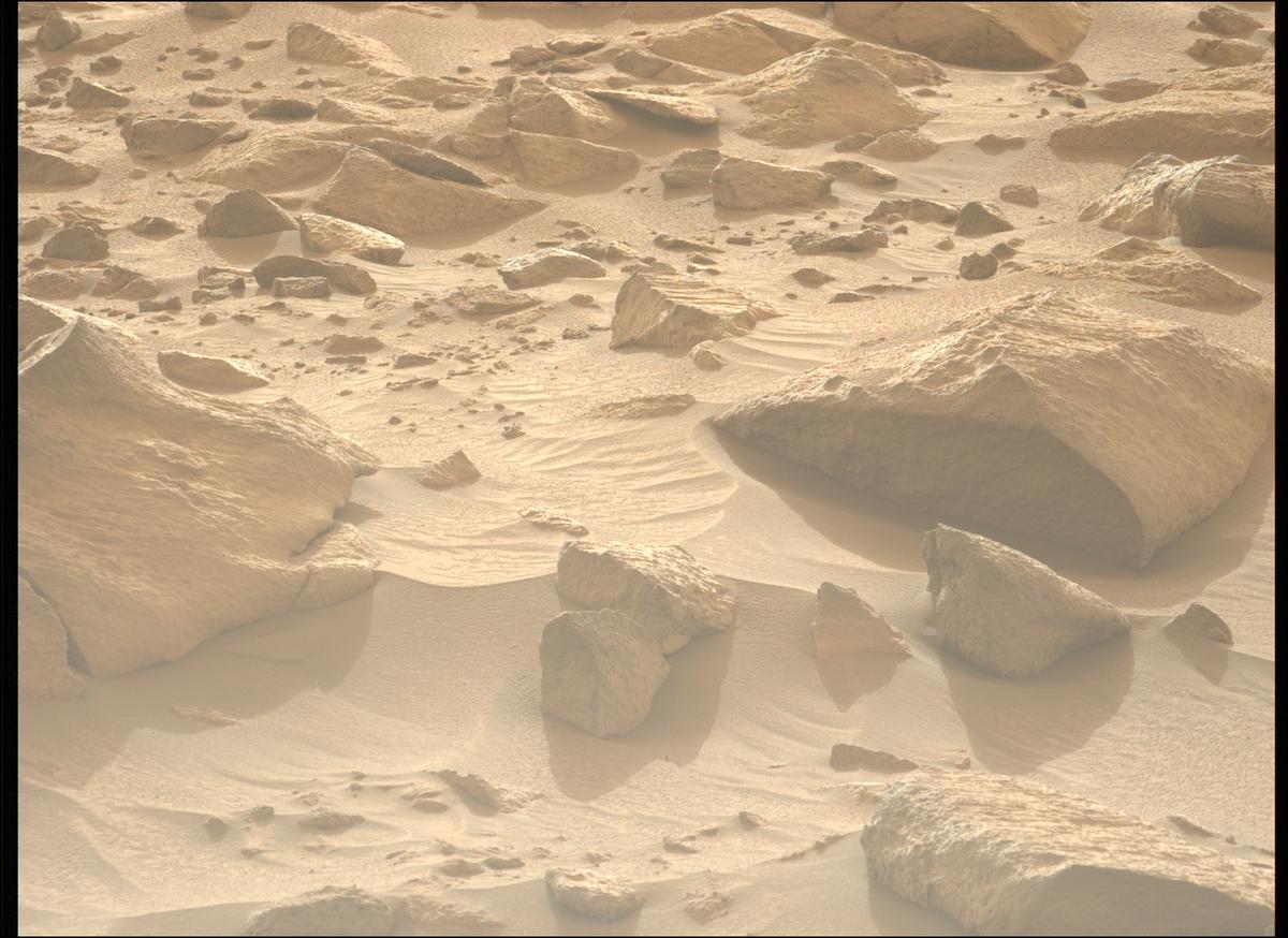 This image was taken by MCZ_LEFT onboard NASA's Mars rover Perseverance on Sol 1147