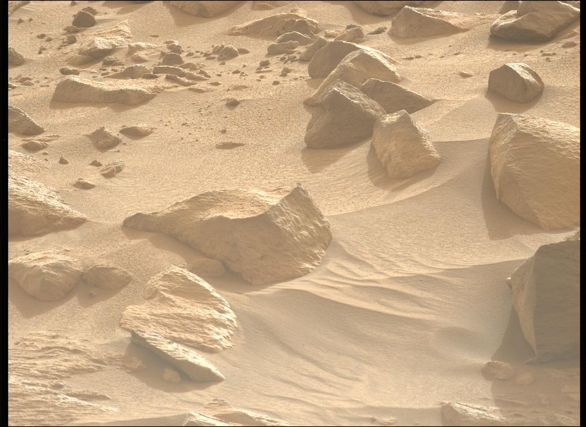 This image was taken by MCZ_LEFT onboard NASA's Mars rover Perseverance on Sol 1147