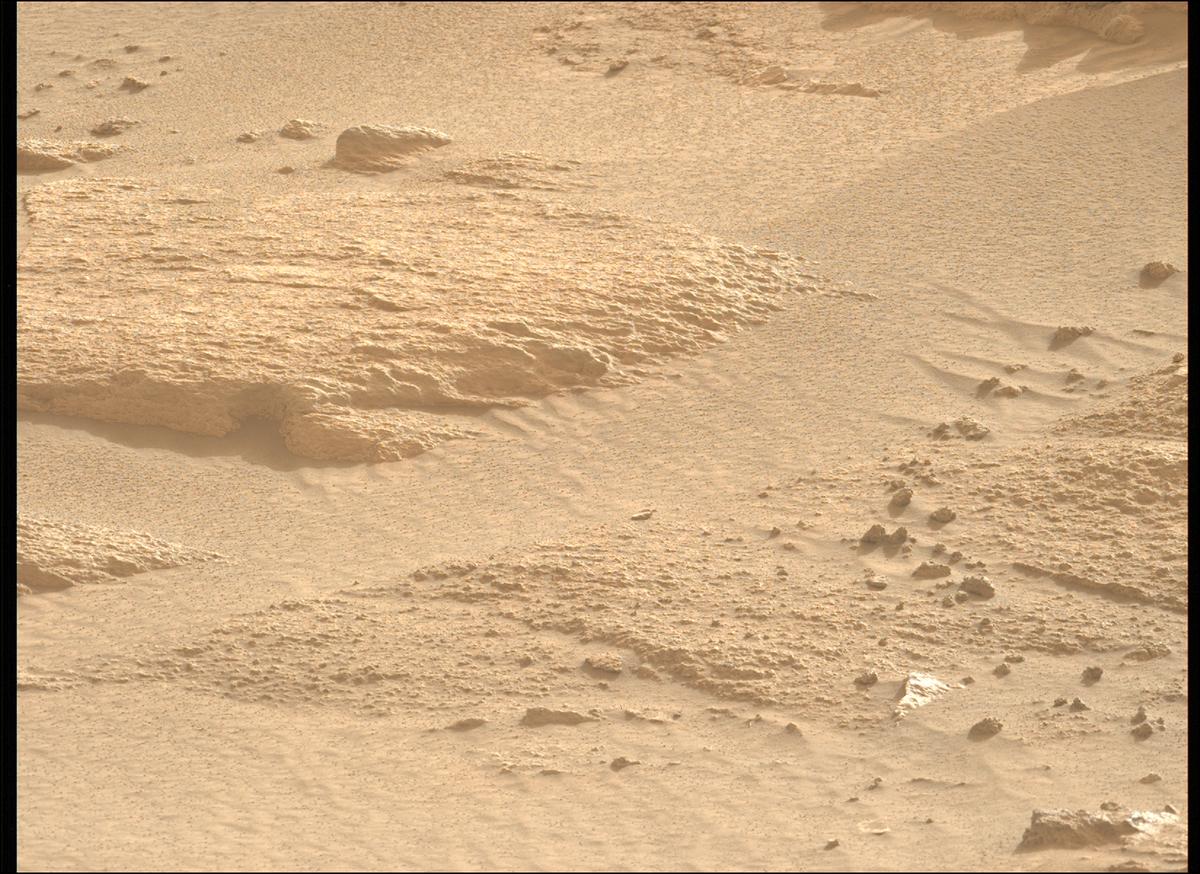 This image was taken by MCZ_LEFT onboard NASA's Mars rover Perseverance on Sol 1147