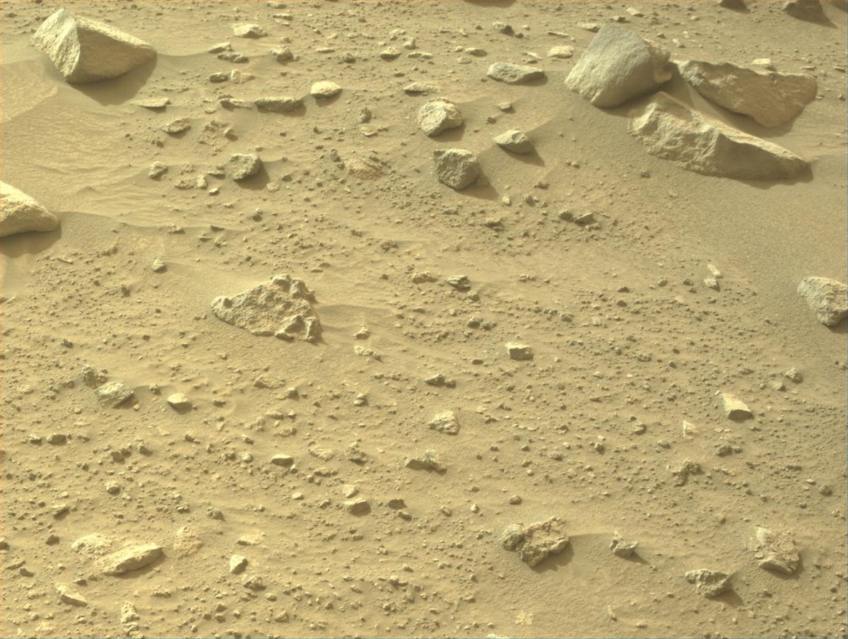 This image was taken by NAVCAM_LEFT onboard NASA's Mars rover Perseverance on Sol 1148