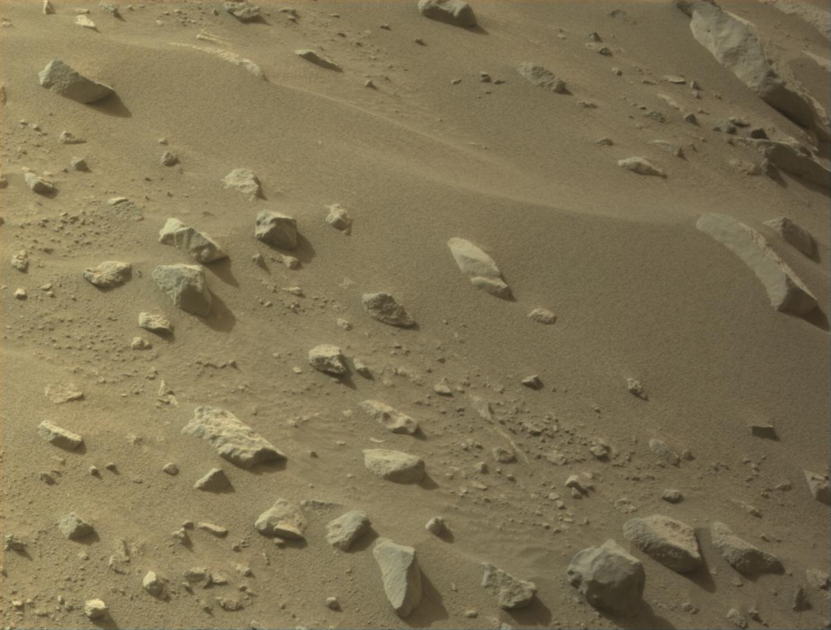 This image was taken by NAVCAM_LEFT onboard NASA's Mars rover Perseverance on Sol 1148