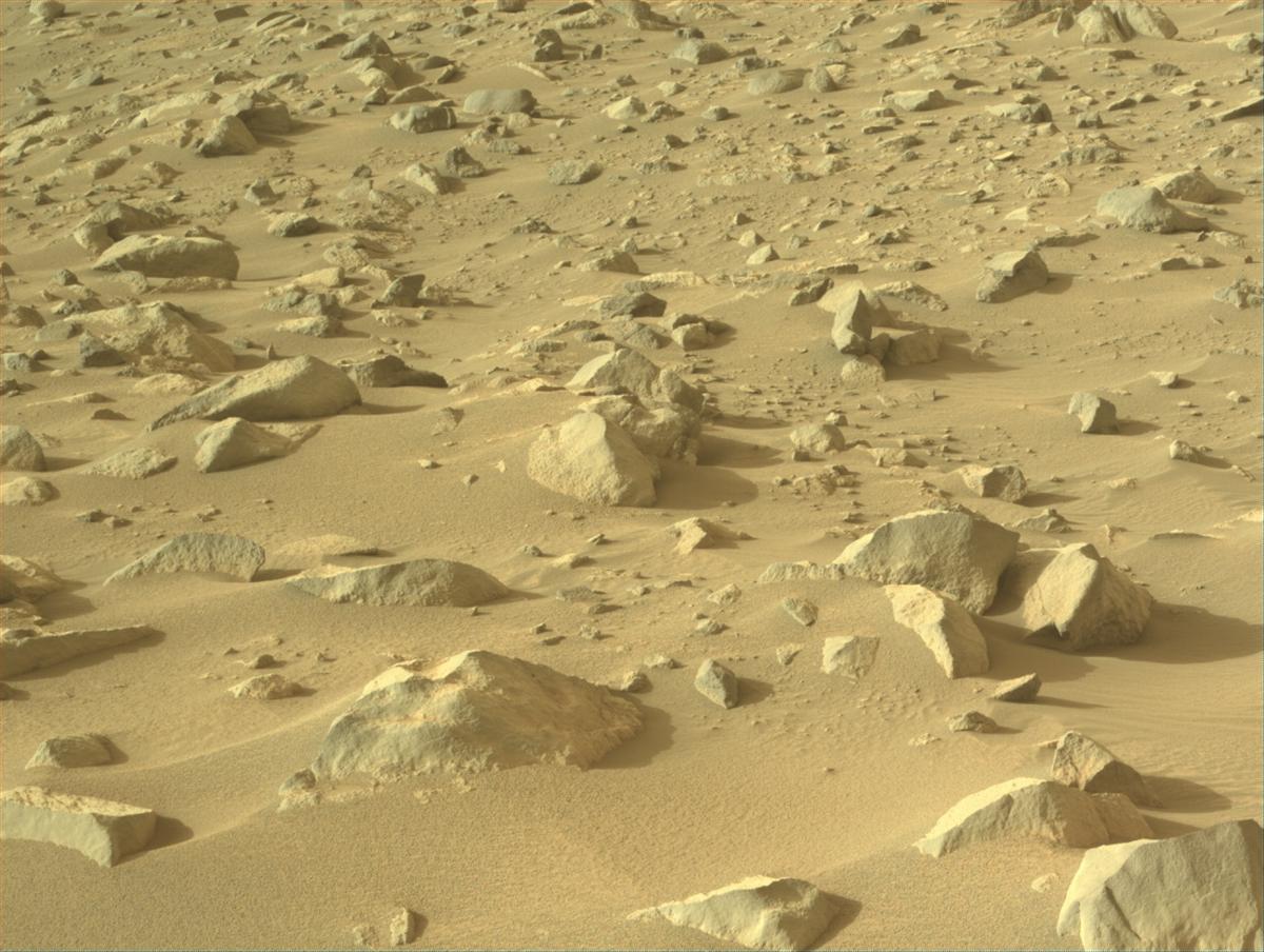 This image was taken by NAVCAM_LEFT onboard NASA's Mars rover Perseverance on Sol 1148