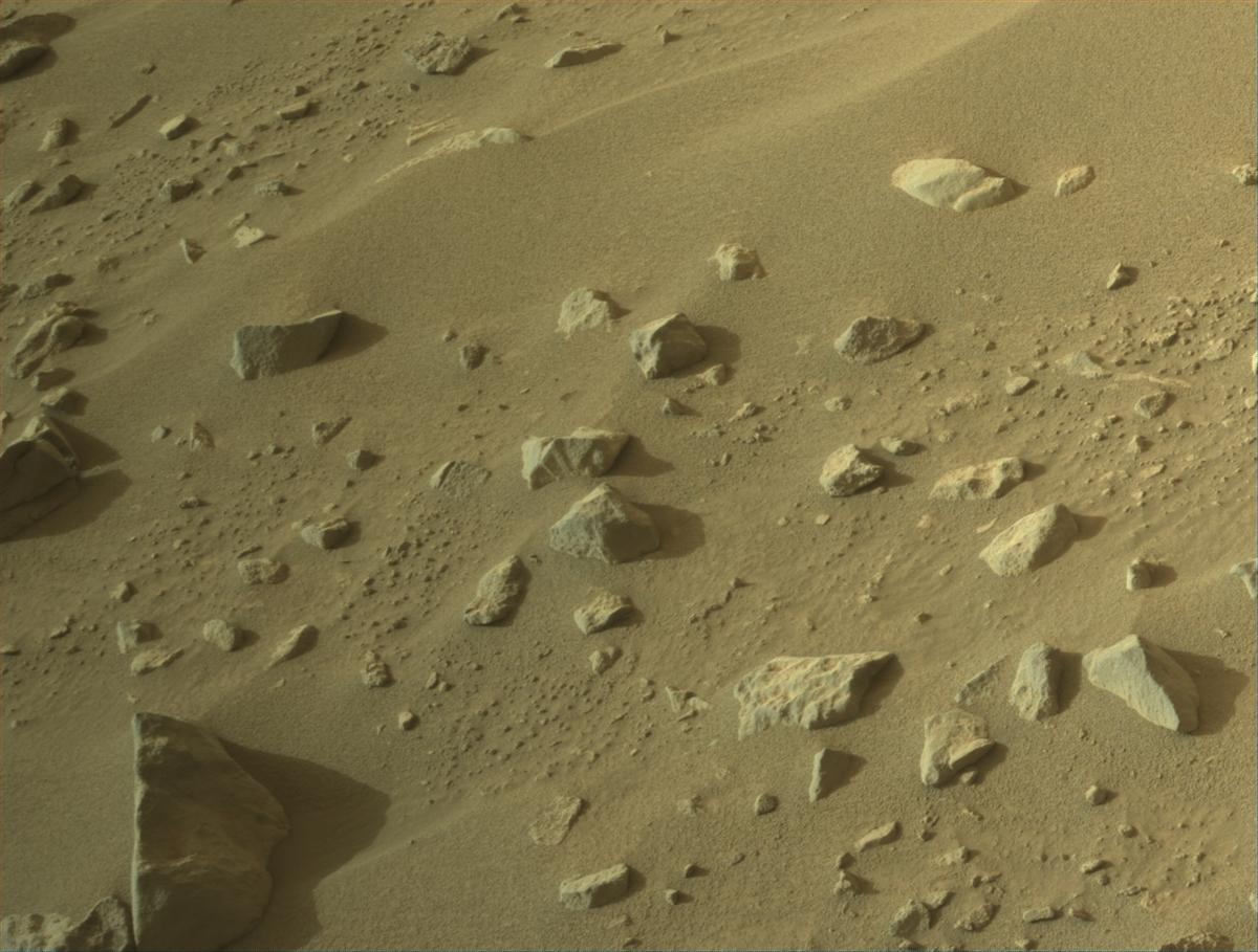 This image was taken by NAVCAM_LEFT onboard NASA's Mars rover Perseverance on Sol 1148