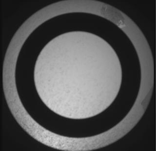 View image taken on Mars, Mars Perseverance Sol 1150: SkyCam Camera 