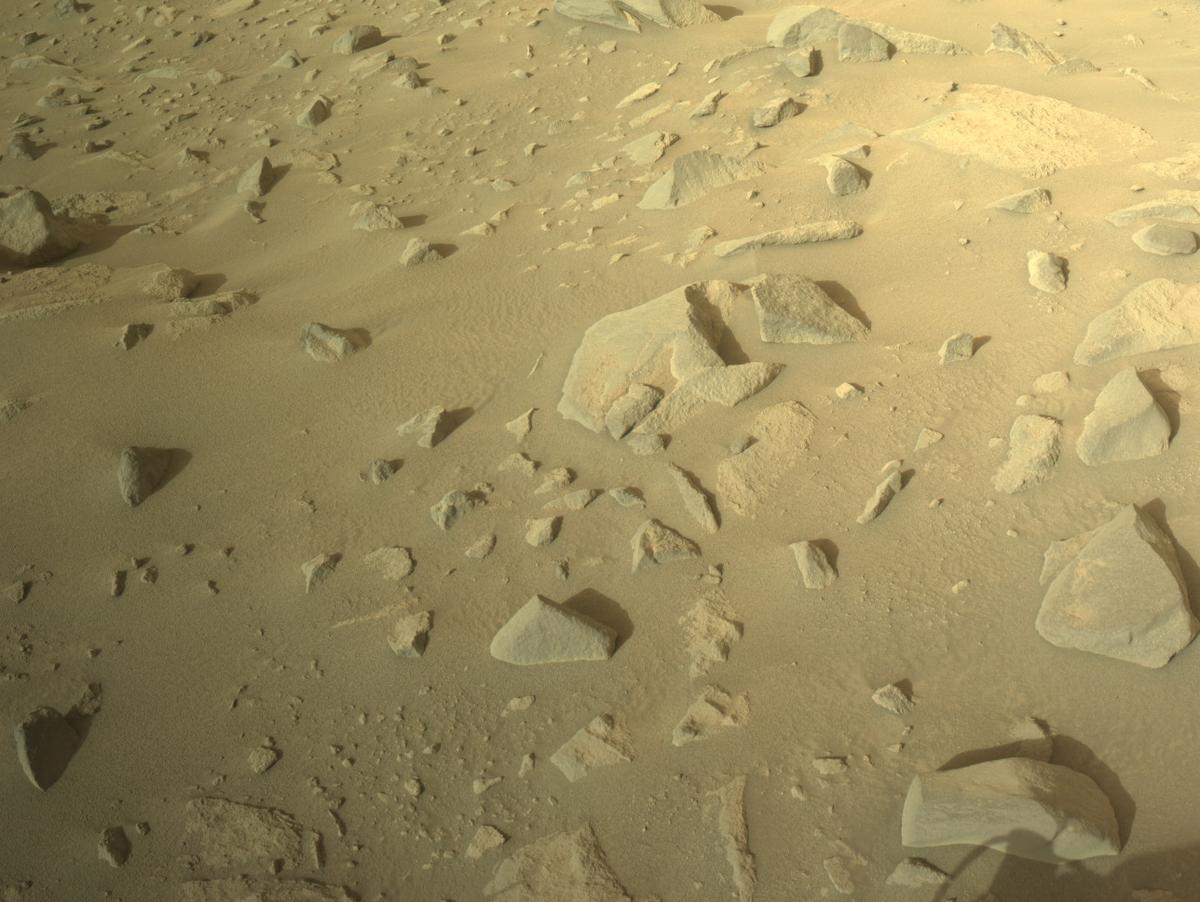 This image was taken by NAVCAM_RIGHT onboard NASA's Mars rover Perseverance on Sol 1150