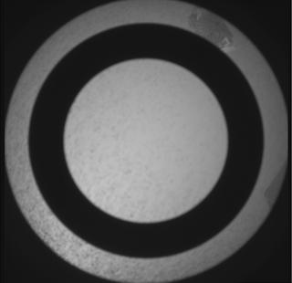 View image taken on Mars, Mars Perseverance Sol 1151: SkyCam Camera 