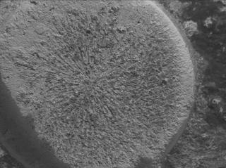 View image taken on Mars, Mars Perseverance Sol 1151: WATSON Camera 