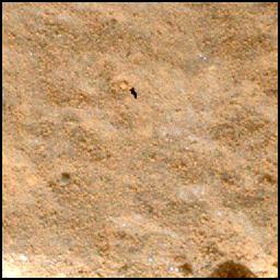 This image was taken by SHERLOC_WATSON onboard NASA's Mars rover Perseverance on Sol 1151