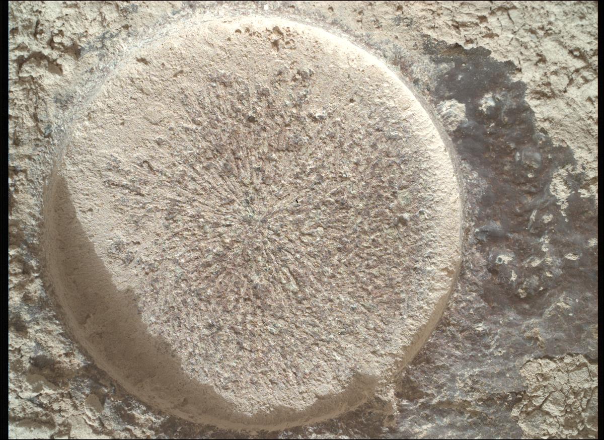 This image was taken by SHERLOC_WATSON onboard NASA's Mars rover Perseverance on Sol 1151