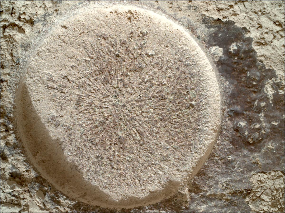 This image was taken by SHERLOC_WATSON onboard NASA's Mars rover Perseverance on Sol 1151
