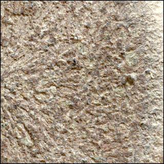 View image taken on Mars, Mars Perseverance Sol 1151: WATSON Camera 