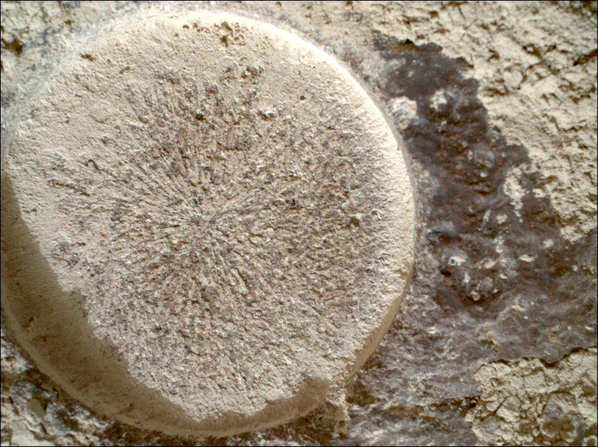 This image was taken by SHERLOC_WATSON onboard NASA's Mars rover Perseverance on Sol 1151